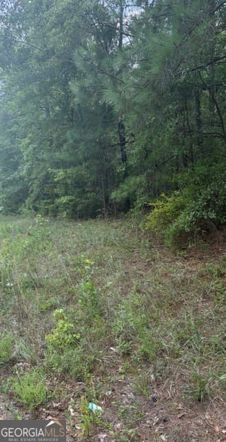 agriculture for sale at 3063 Hamlin Road, Lizella, GA 31052 — photo 7