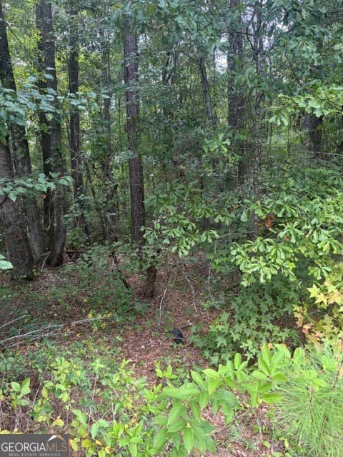 agriculture for sale at 3063 Hamlin Road, Lizella, GA 31052 — photo 5