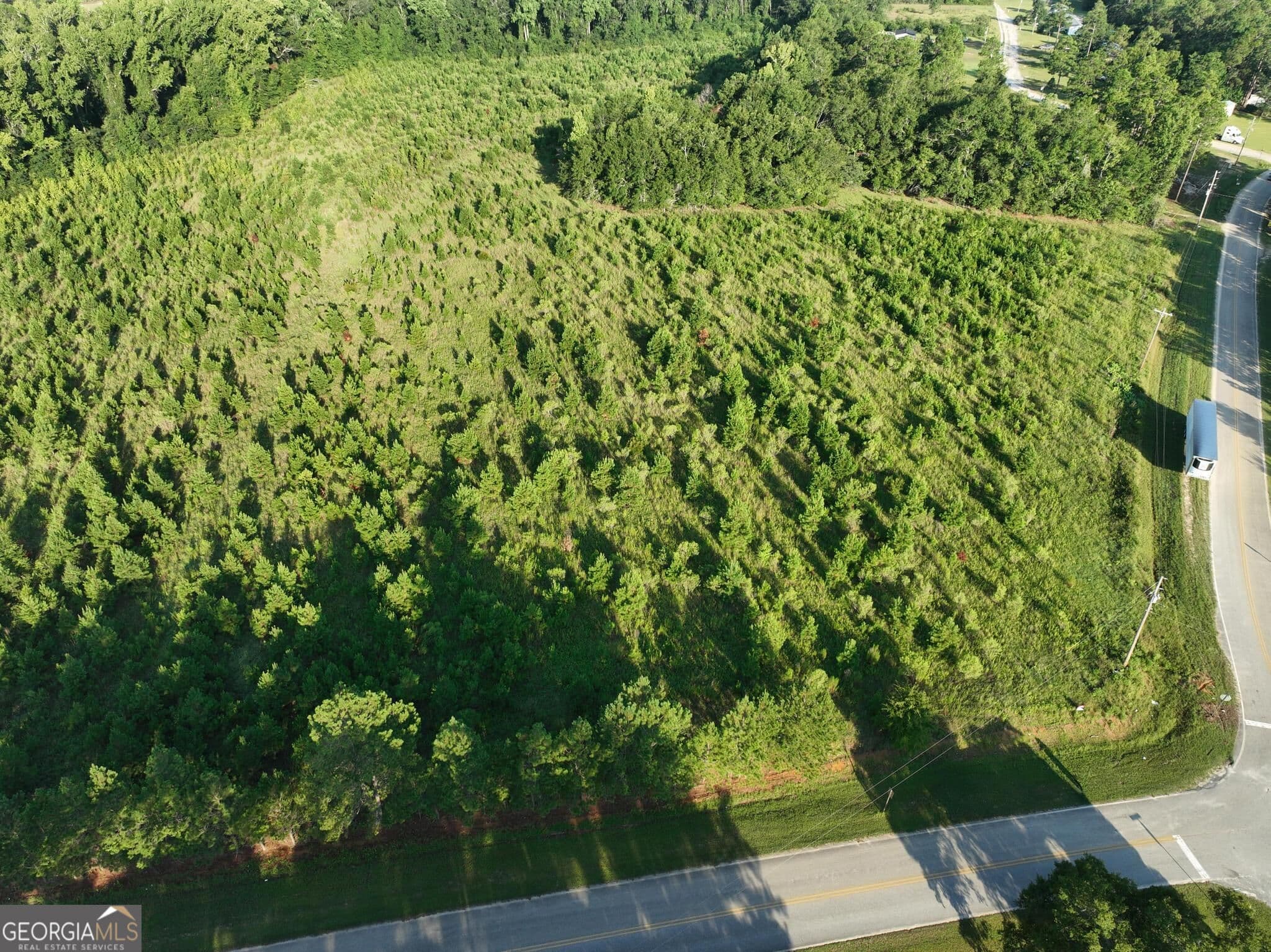 agriculture for sale at 0 Ben Grady Collins Road, Portal, GA 30450 — photo 2