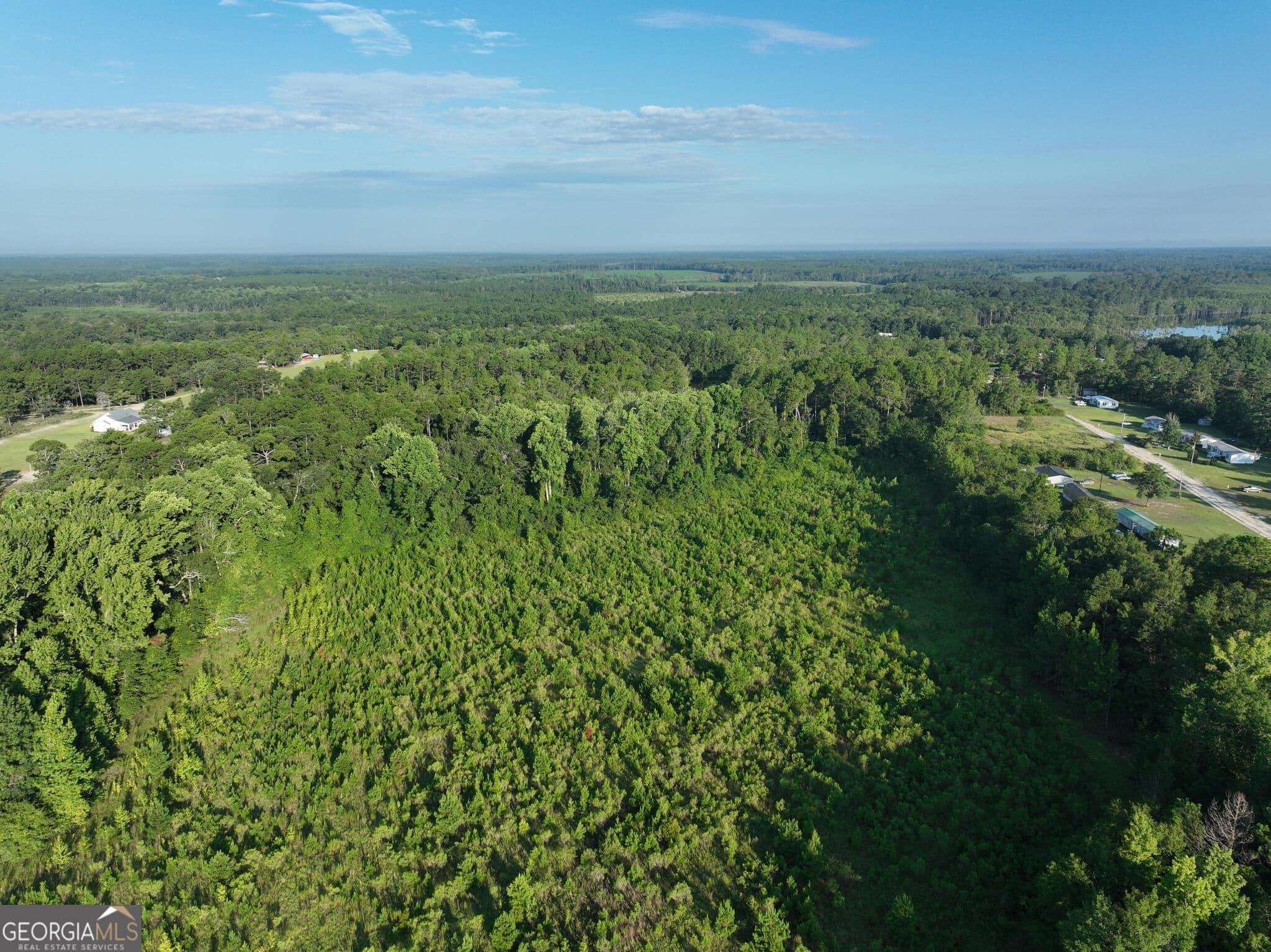 agriculture for sale at 0 Ben Grady Collins Road, Portal, GA 30450 — photo 6