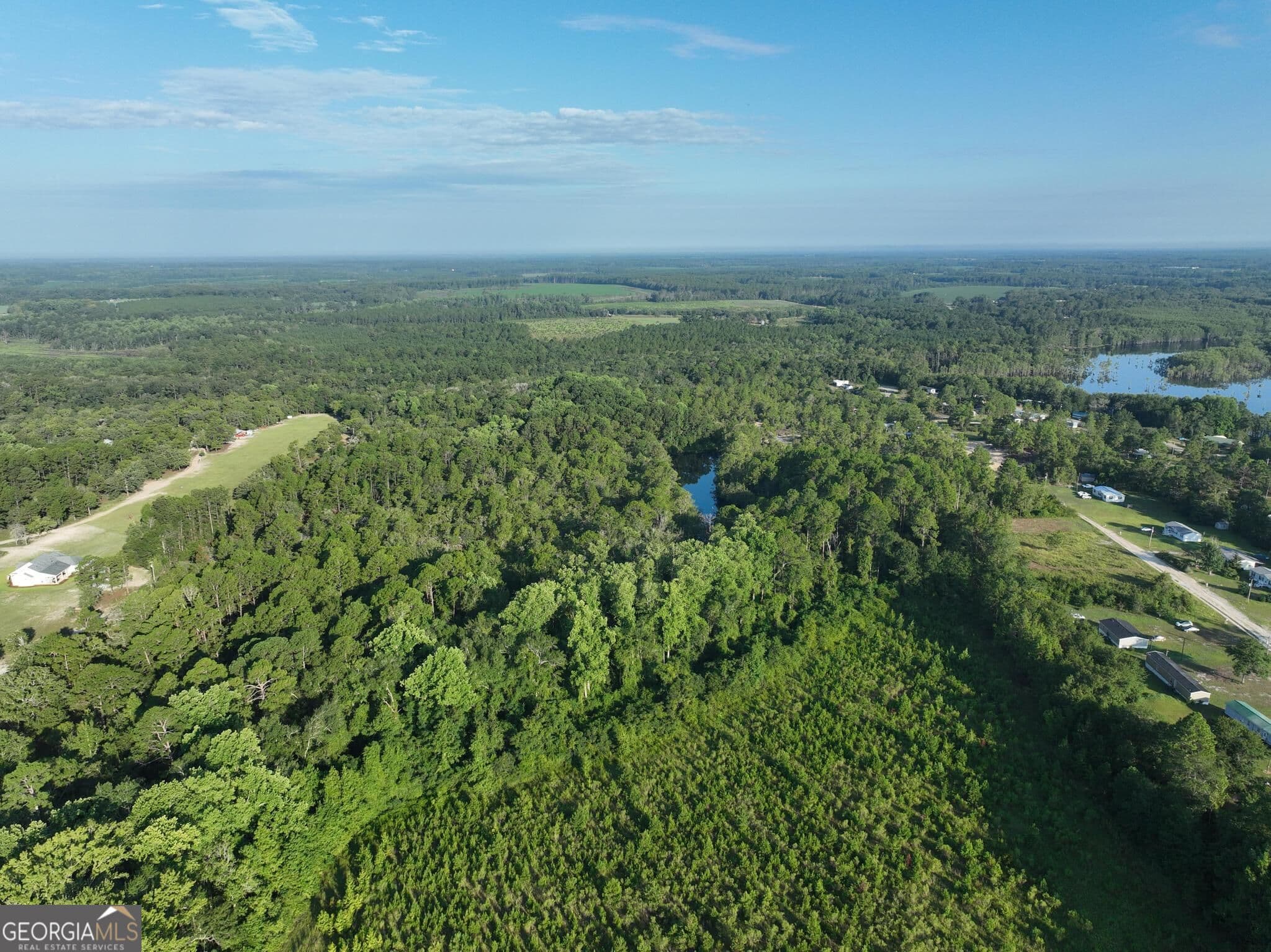 agriculture for sale at 0 Ben Grady Collins Road, Portal, GA 30450 — photo 7