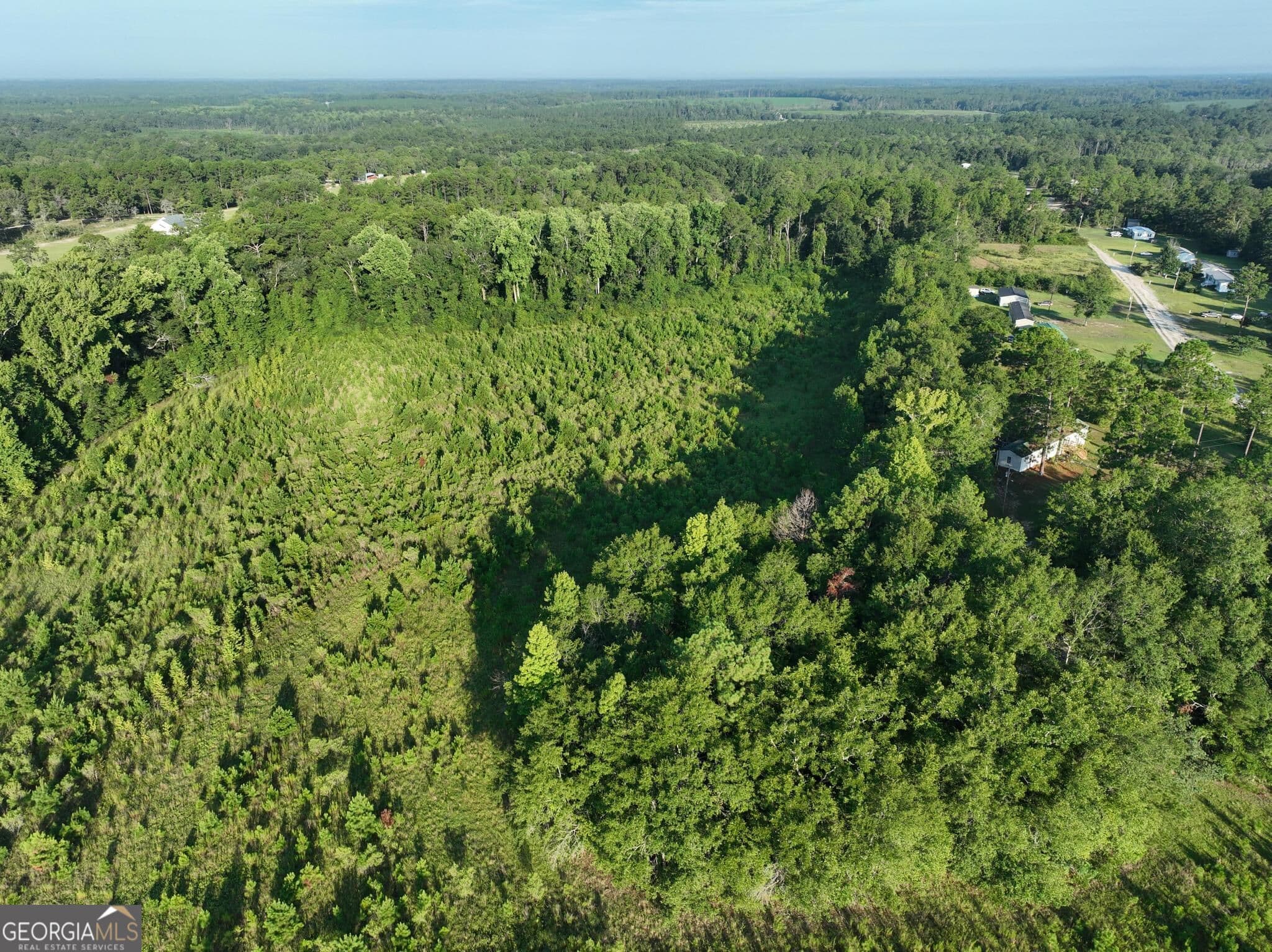agriculture for sale at 0 Ben Grady Collins Road, Portal, GA 30450 — photo 3