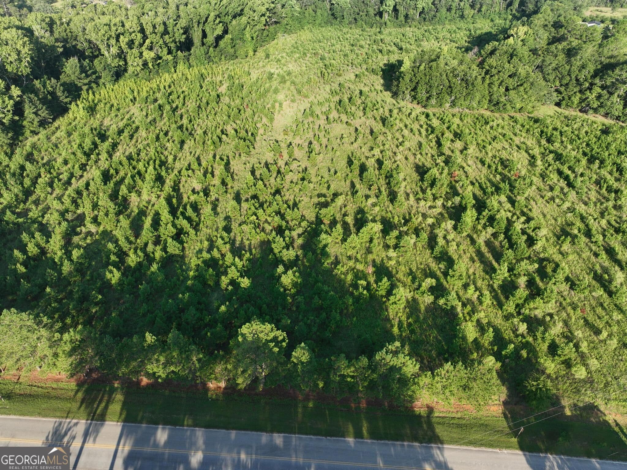 agriculture for sale at 0 Ben Grady Collins Road, Portal, GA 30450