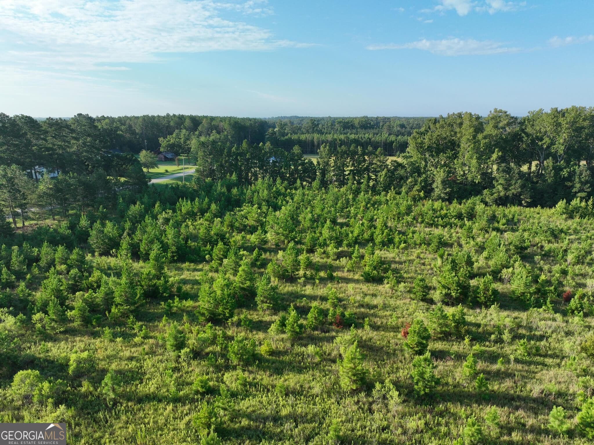 agriculture for sale at 0 Ben Grady Collins Road, Portal, GA 30450 — photo 5