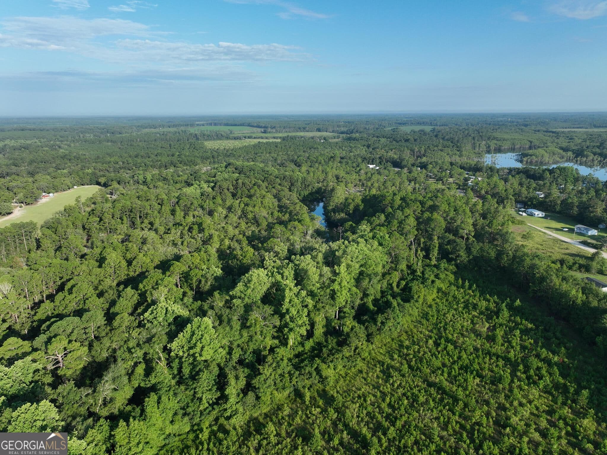 agriculture for sale at 0 Ben Grady Collins Road, Portal, GA 30450 — photo 9