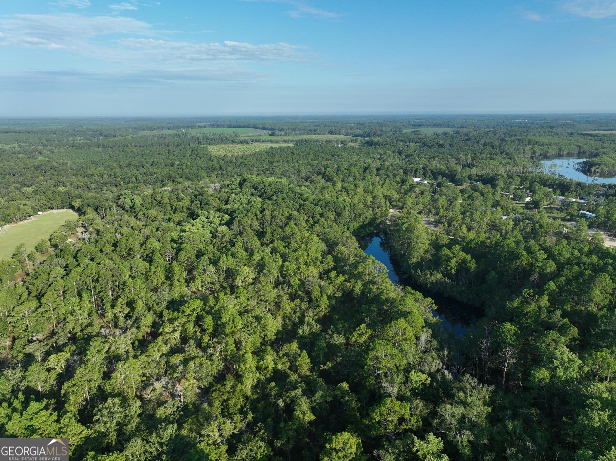 agriculture for sale at 0 Ben Grady Collins Road, Portal, GA 30450 — photo 10