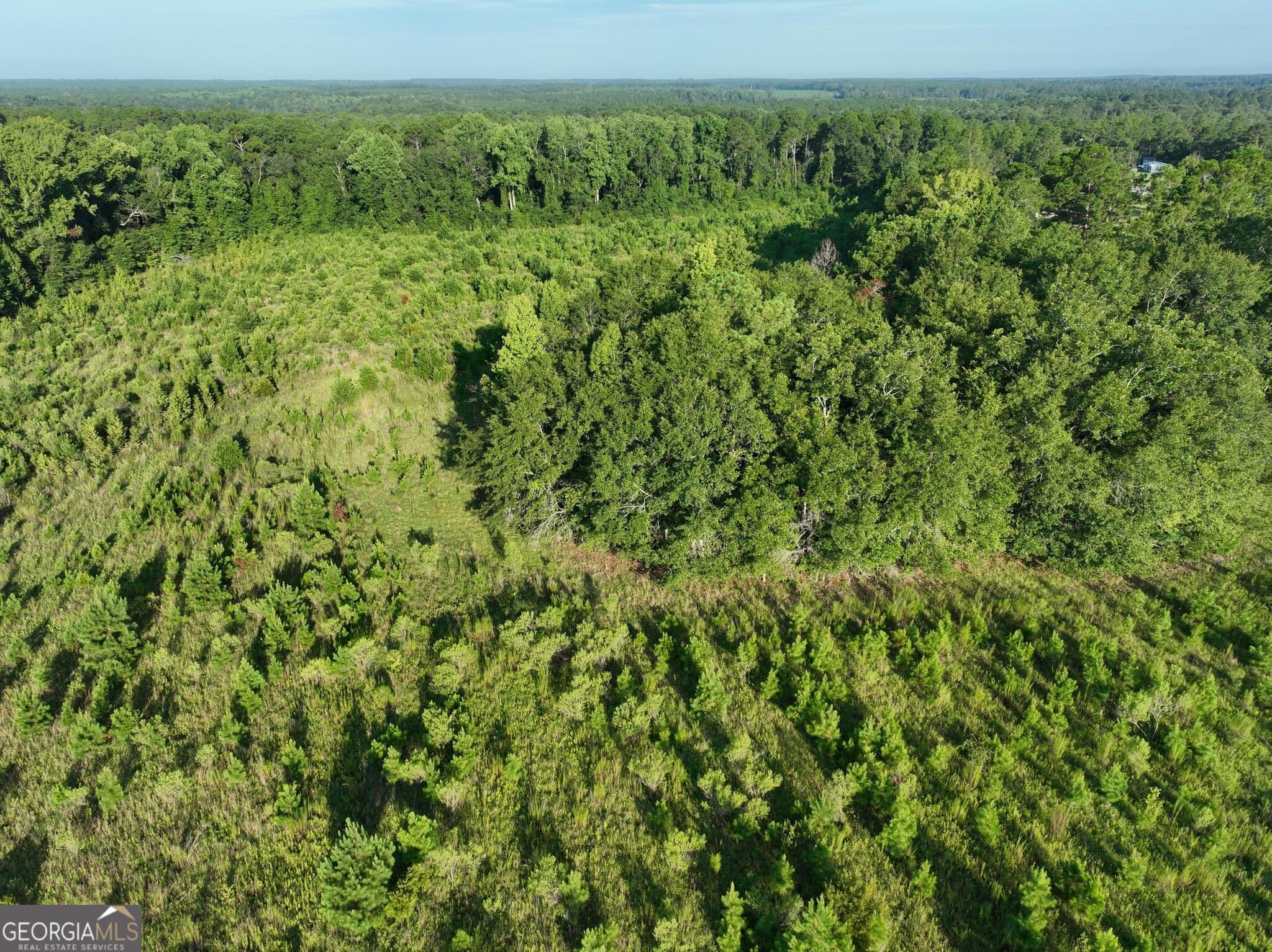 agriculture for sale at 0 Ben Grady Collins Road, Portal, GA 30450 — photo 4