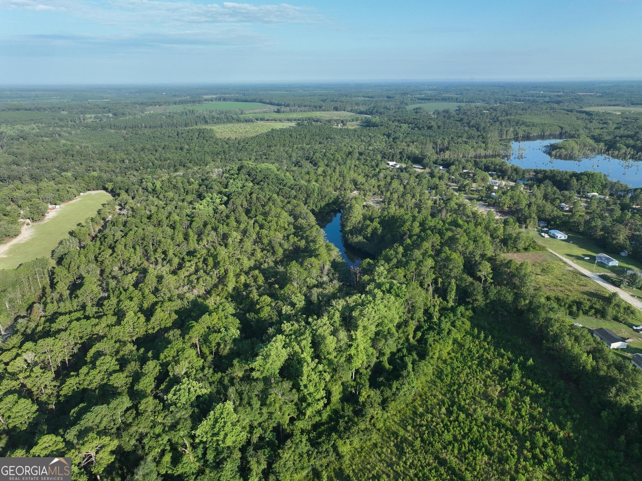 agriculture for sale at 0 Ben Grady Collins Road, Portal, GA 30450 — photo 8