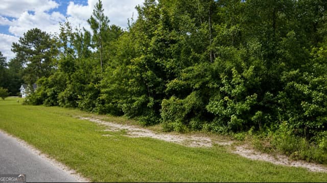 residential lot for sale at 13 Ace Circle, Brunswick, GA 31523 — photo 2