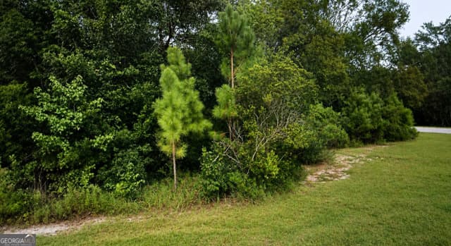 residential lot for sale at 13 Ace Circle, Brunswick, GA 31523 — photo 3