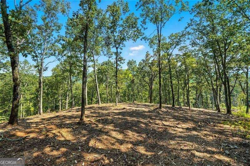 residential lot for sale at 0 Debord Drive, Waleska, GA 30183 — photo 2