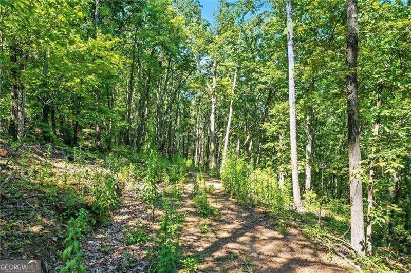 residential lot for sale at 0 Debord Drive, Waleska, GA 30183 — photo 7