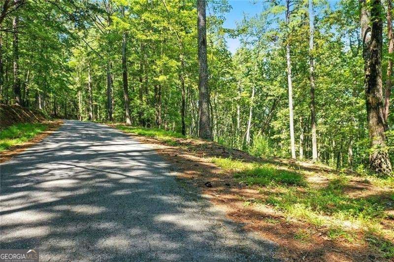 residential lot for sale at 0 Debord Drive, Waleska, GA 30183 — photo 1 of 38