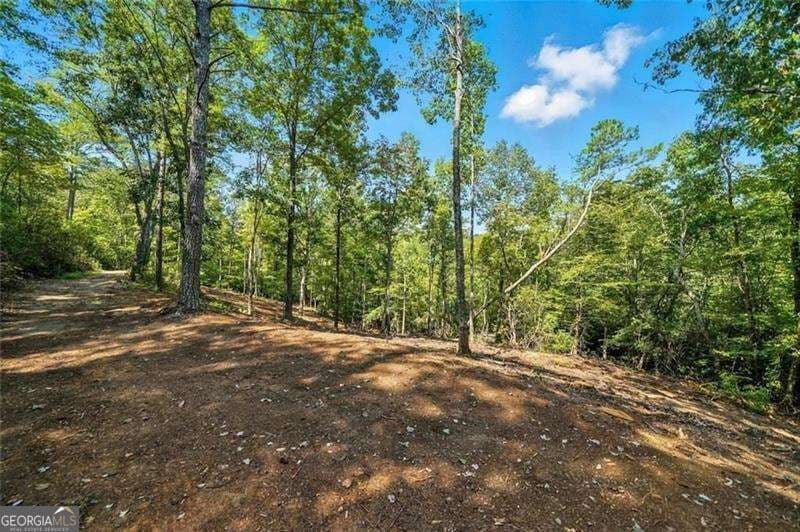 residential lot for sale at 0 Debord Drive, Waleska, GA 30183 — photo 5