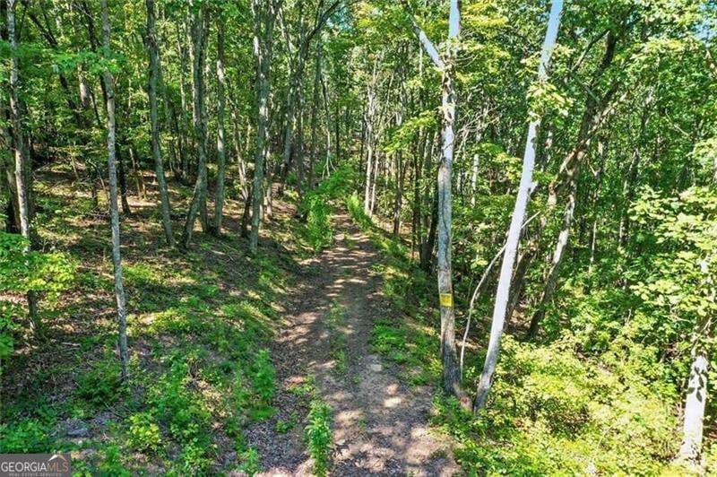 residential lot for sale at 0 Debord Drive, Waleska, GA 30183 — photo 10