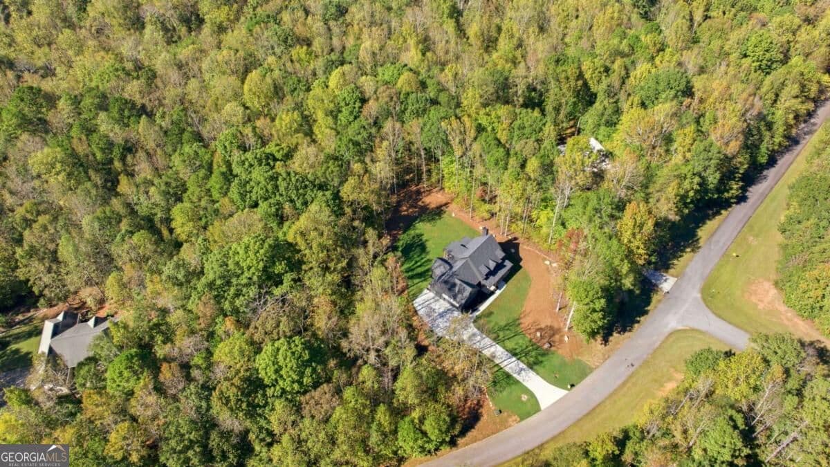 4 bedroom, 3.5 bathroom, 3,007 sq ft single family residence for sale at 389 Branch Drive, Pendergrass, GA 30567 — photo 5