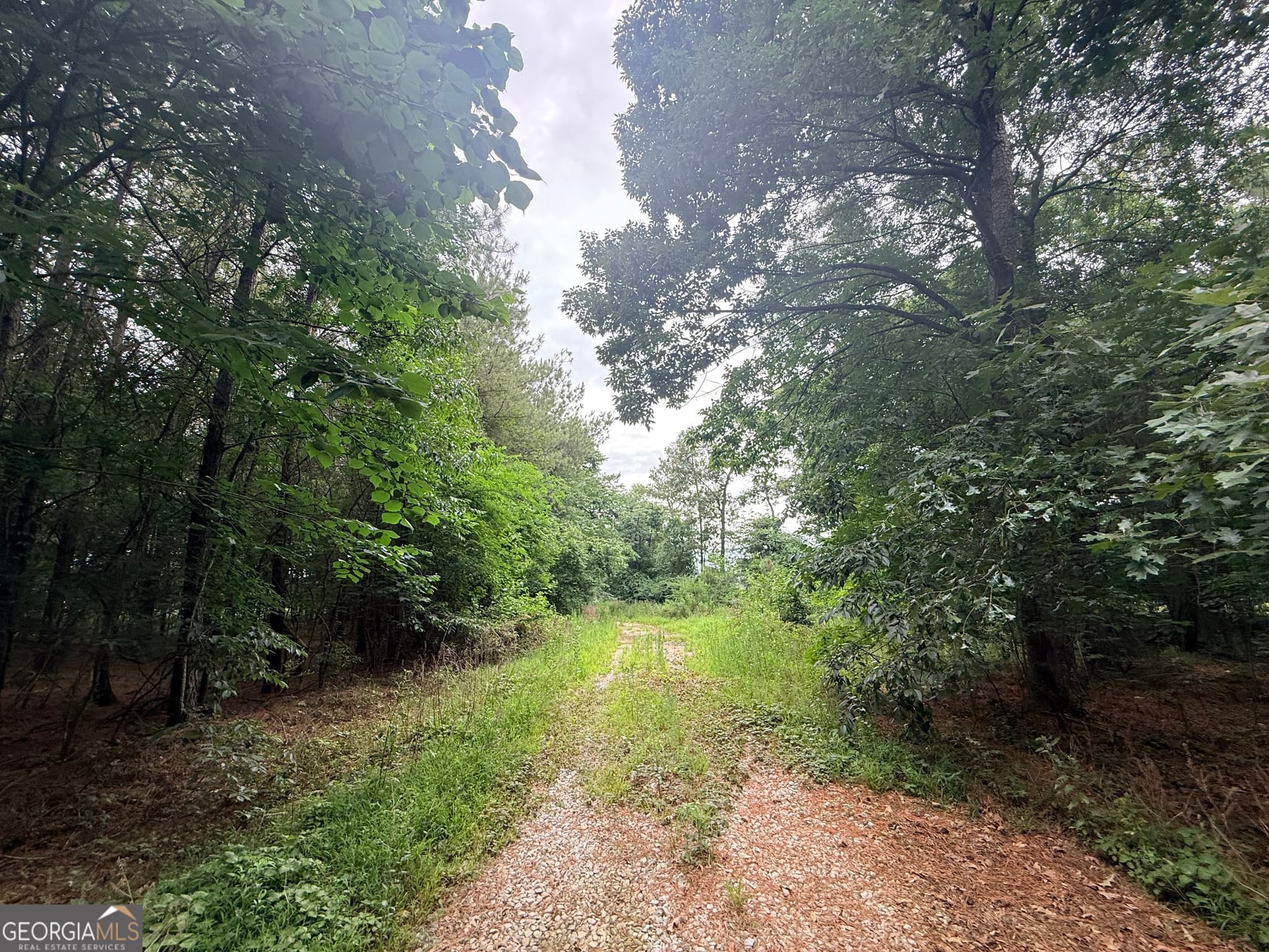 unimproved land for sale at 1 Bethesda Church Road, Lexington, GA 30648 — photo 6