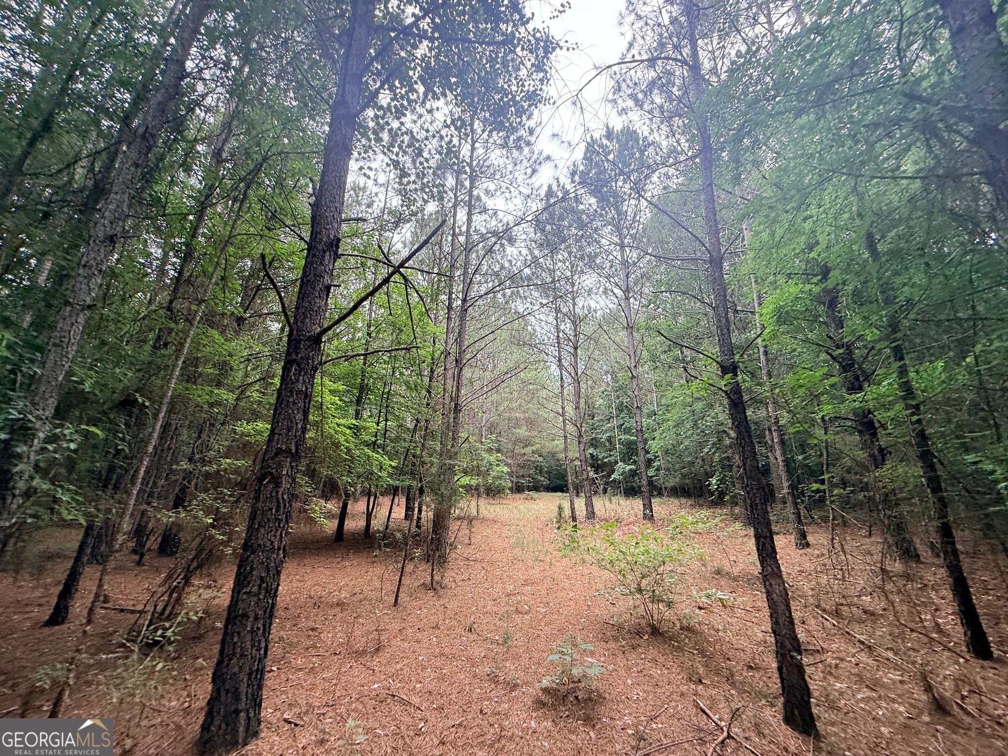 unimproved land for sale at 1 Bethesda Church Road, Lexington, GA 30648 — photo 7