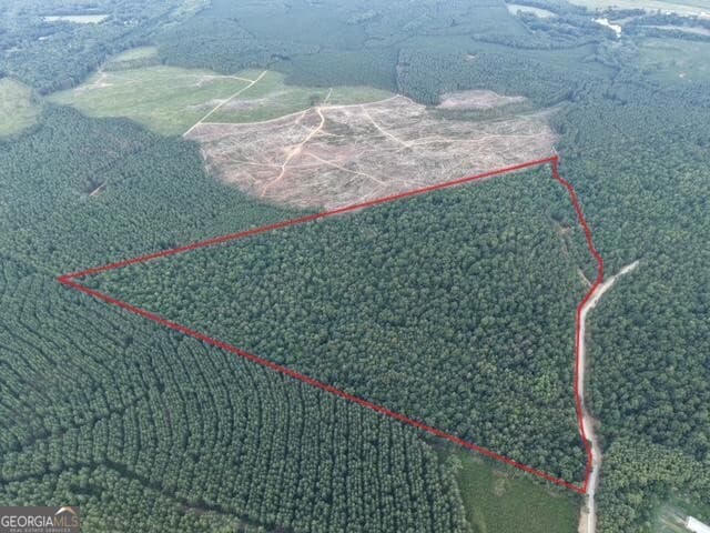unimproved land for sale at 1 Bethesda Church Road, Lexington, GA 30648 — photo 3