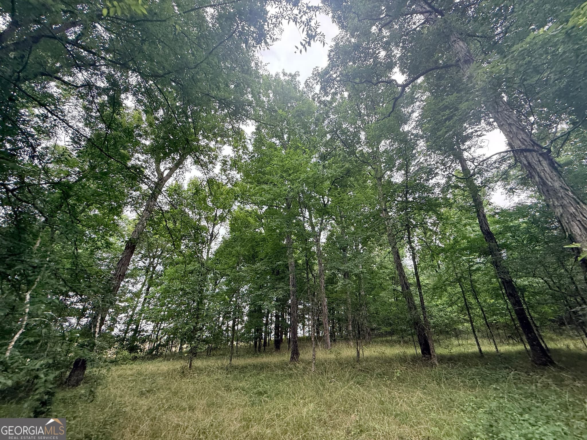 unimproved land for sale at 1 Bethesda Church Road, Lexington, GA 30648 — photo 1 of 88