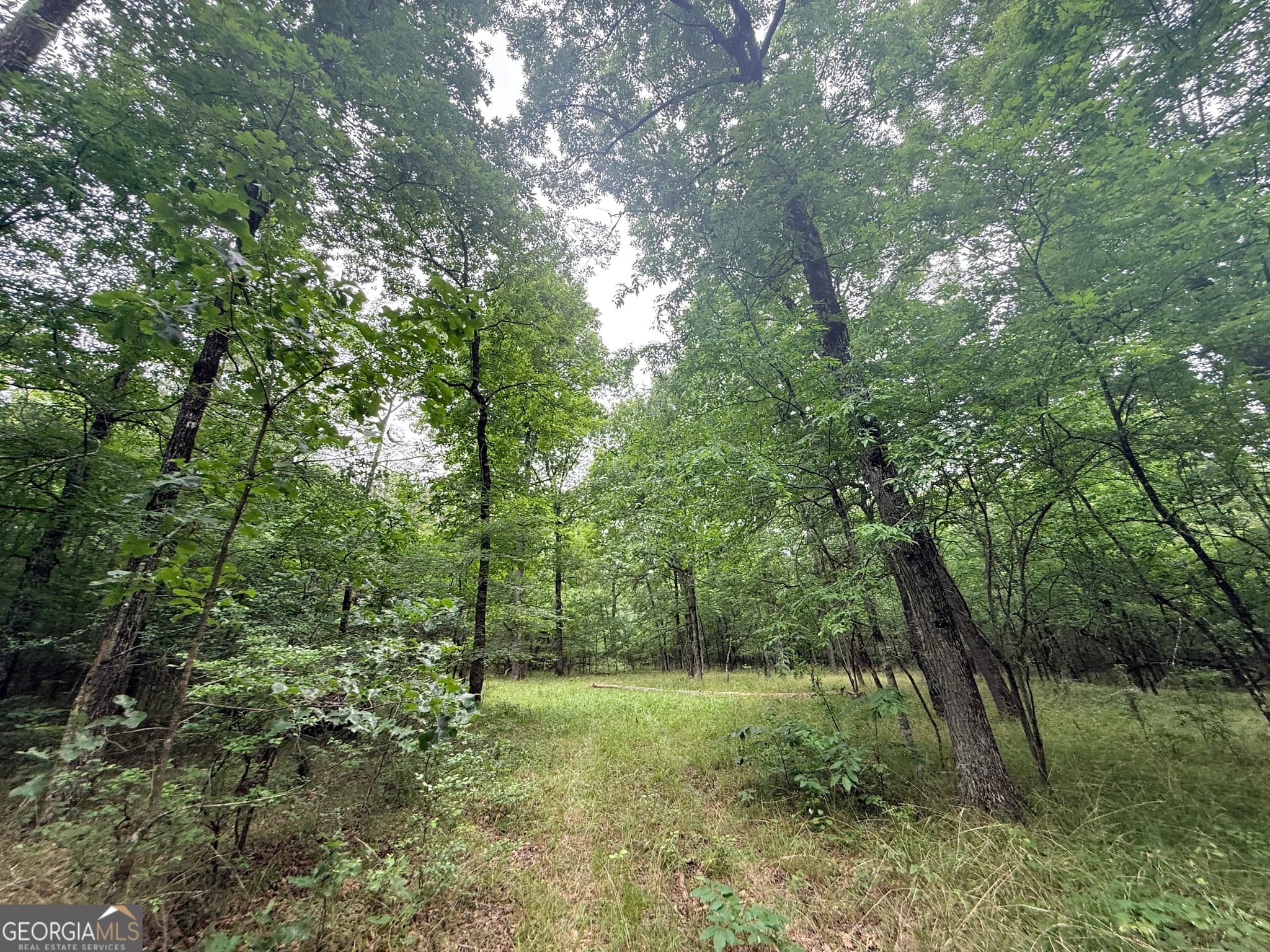 unimproved land for sale at 1 Bethesda Church Road, Lexington, GA 30648 — photo 5