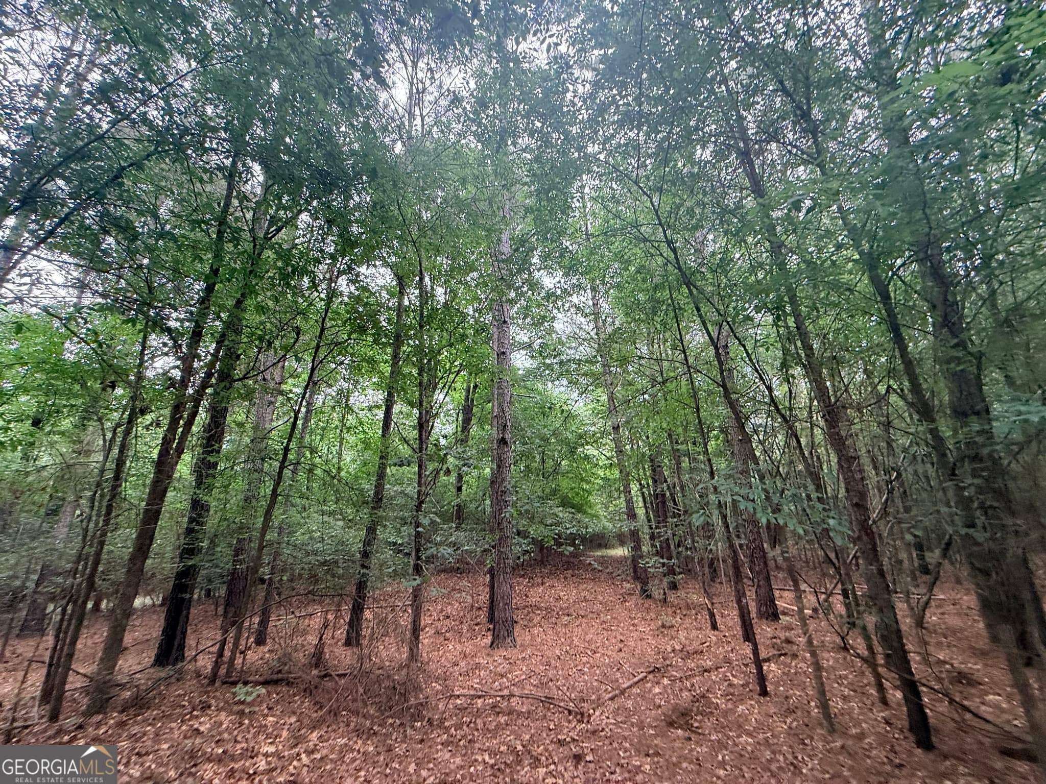 unimproved land for sale at 1 Bethesda Church Road, Lexington, GA 30648 — photo 9