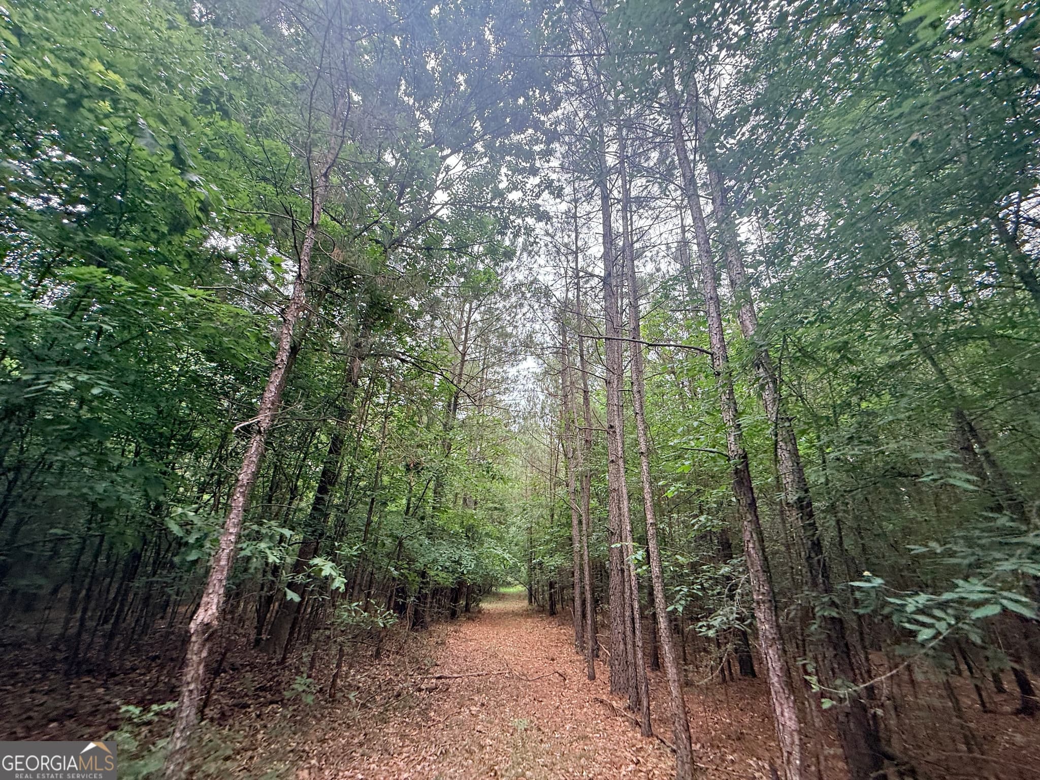 unimproved land for sale at 1 Bethesda Church Road, Lexington, GA 30648 — photo 10