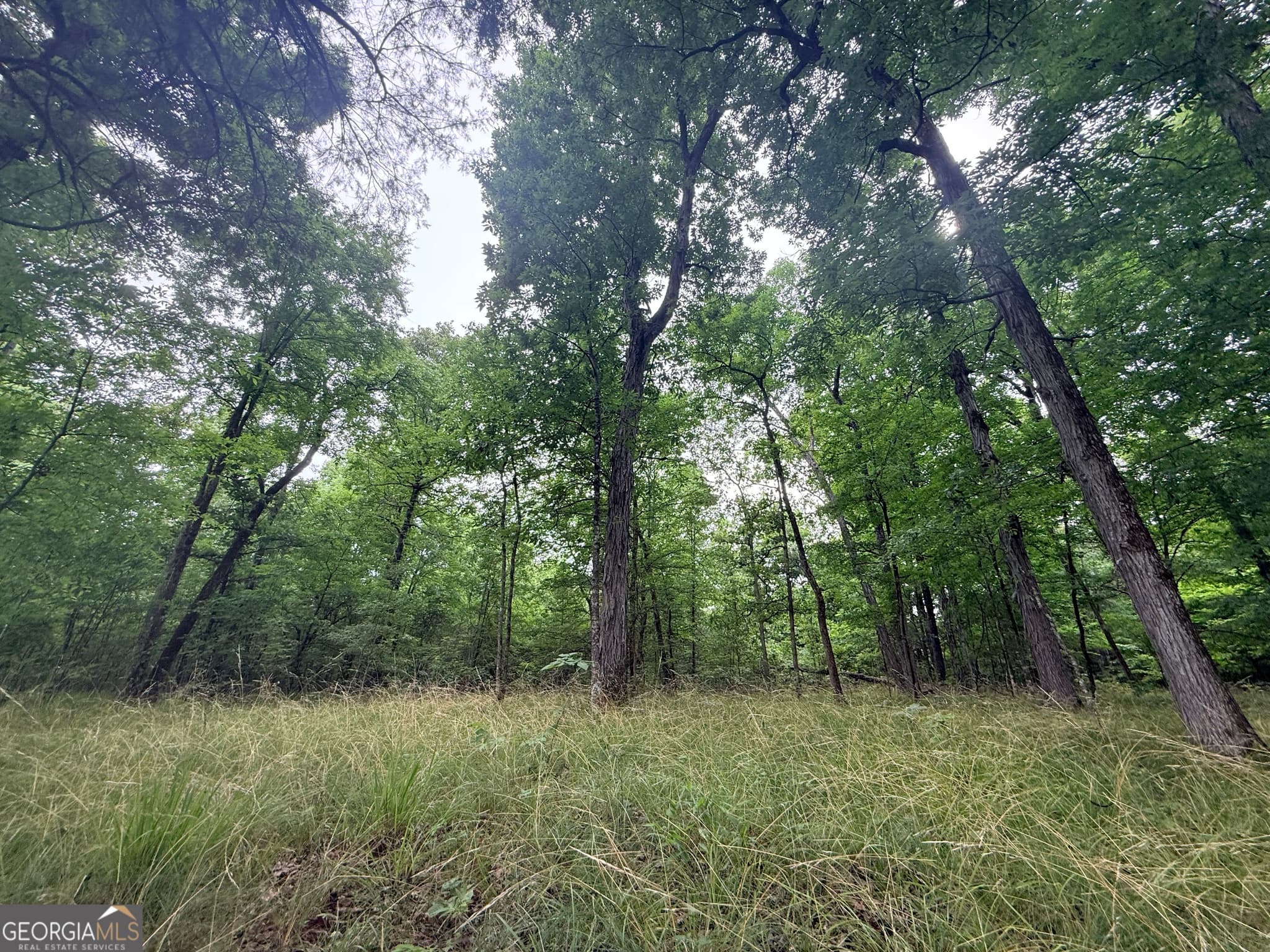 unimproved land for sale at 1 Bethesda Church Road, Lexington, GA 30648 — photo 4