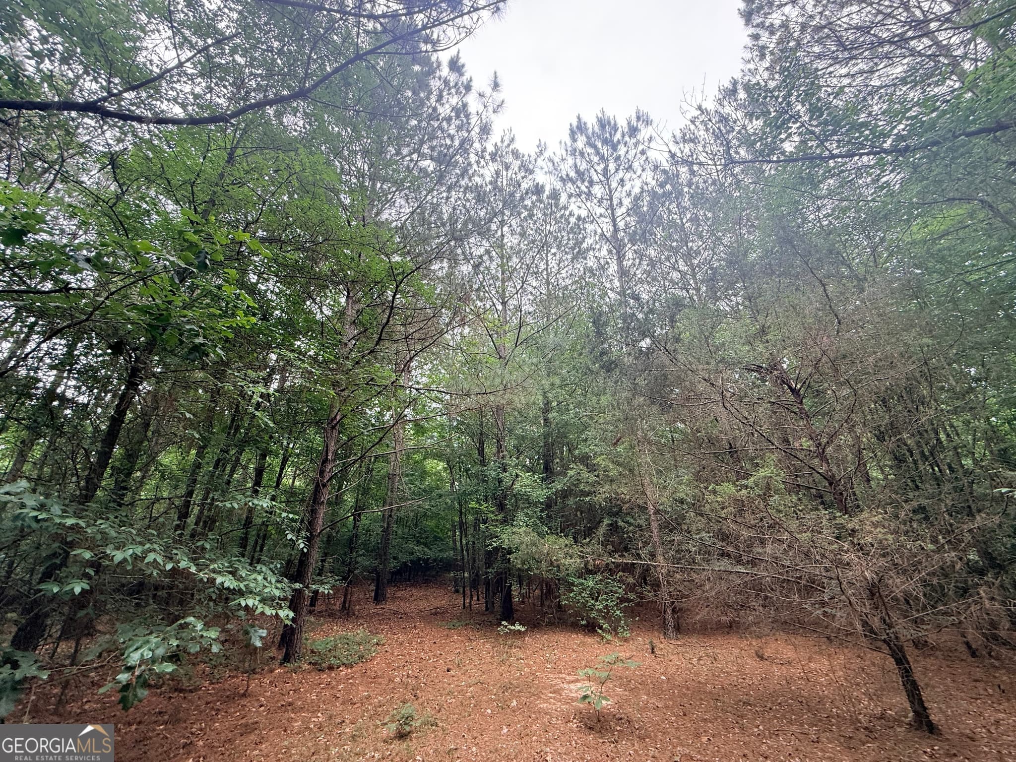 unimproved land for sale at 1 Bethesda Church Road, Lexington, GA 30648 — photo 8