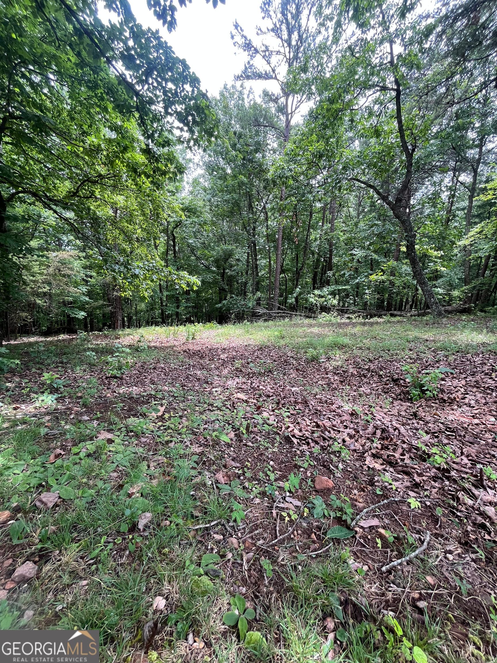 residential lot for sale at 0 White Stone Drive, Cleveland, GA 30528 — photo 6