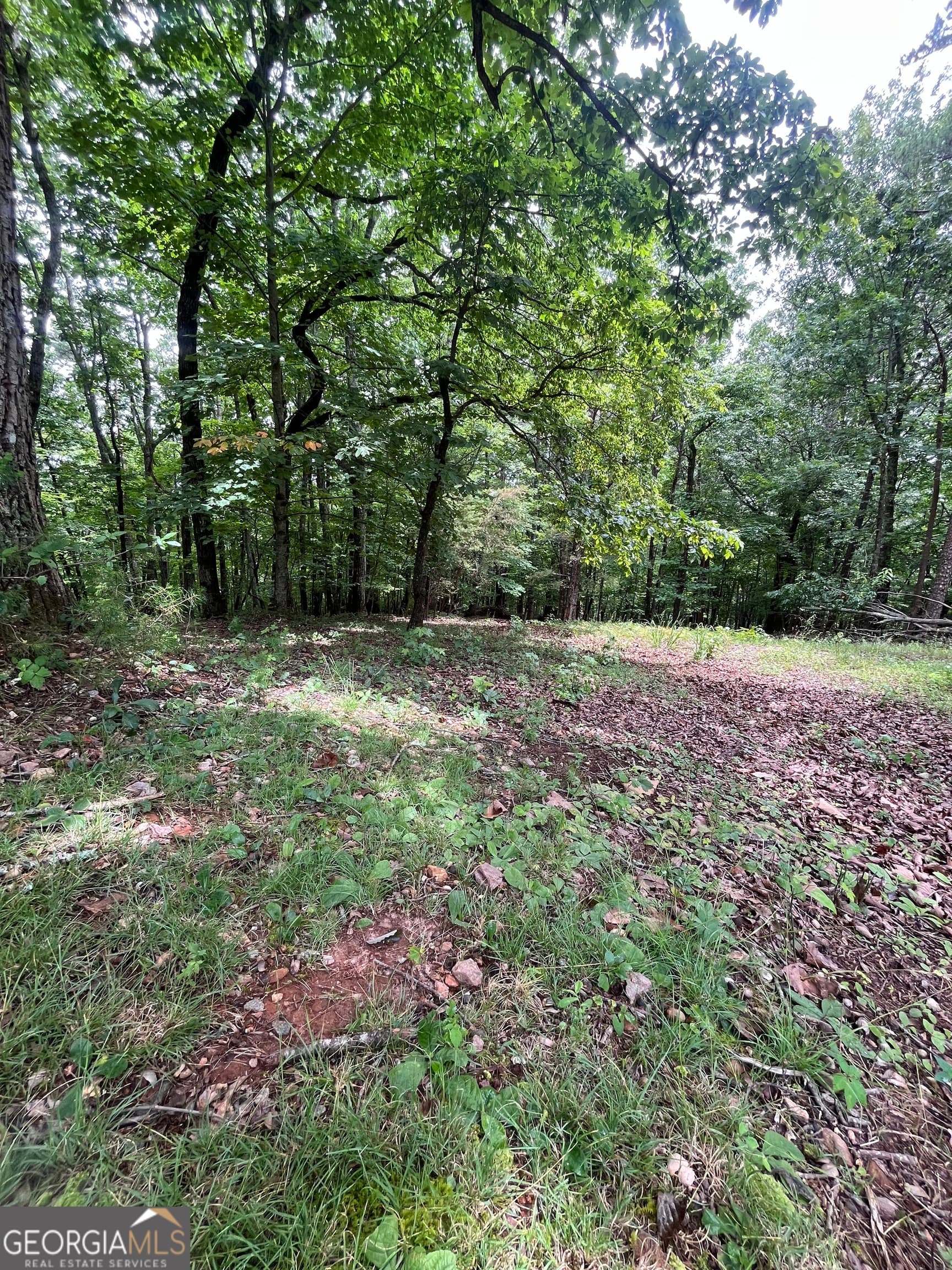 residential lot for sale at 0 White Stone Drive, Cleveland, GA 30528 — photo 7