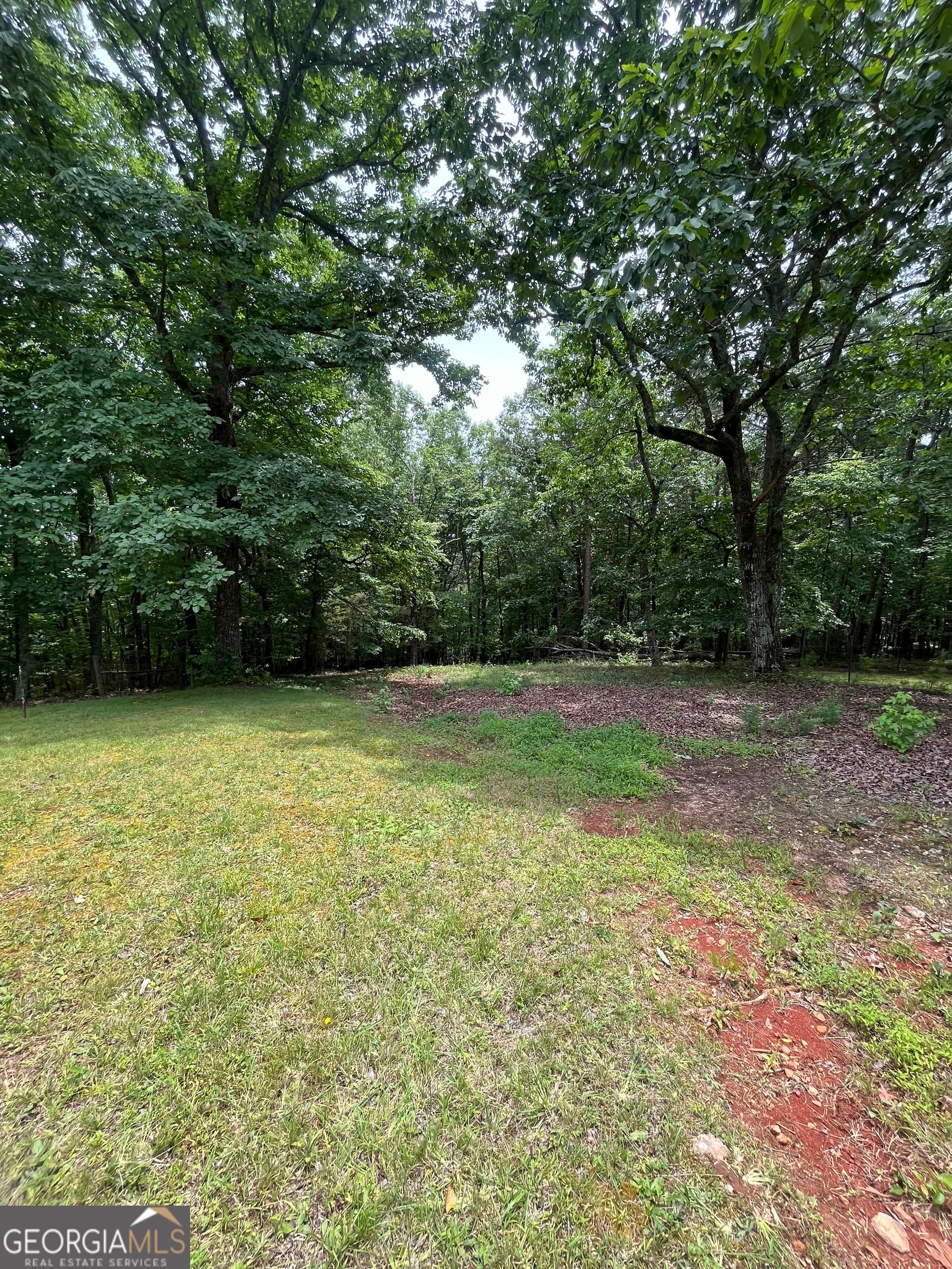 residential lot for sale at 0 White Stone Drive, Cleveland, GA 30528 — photo 3