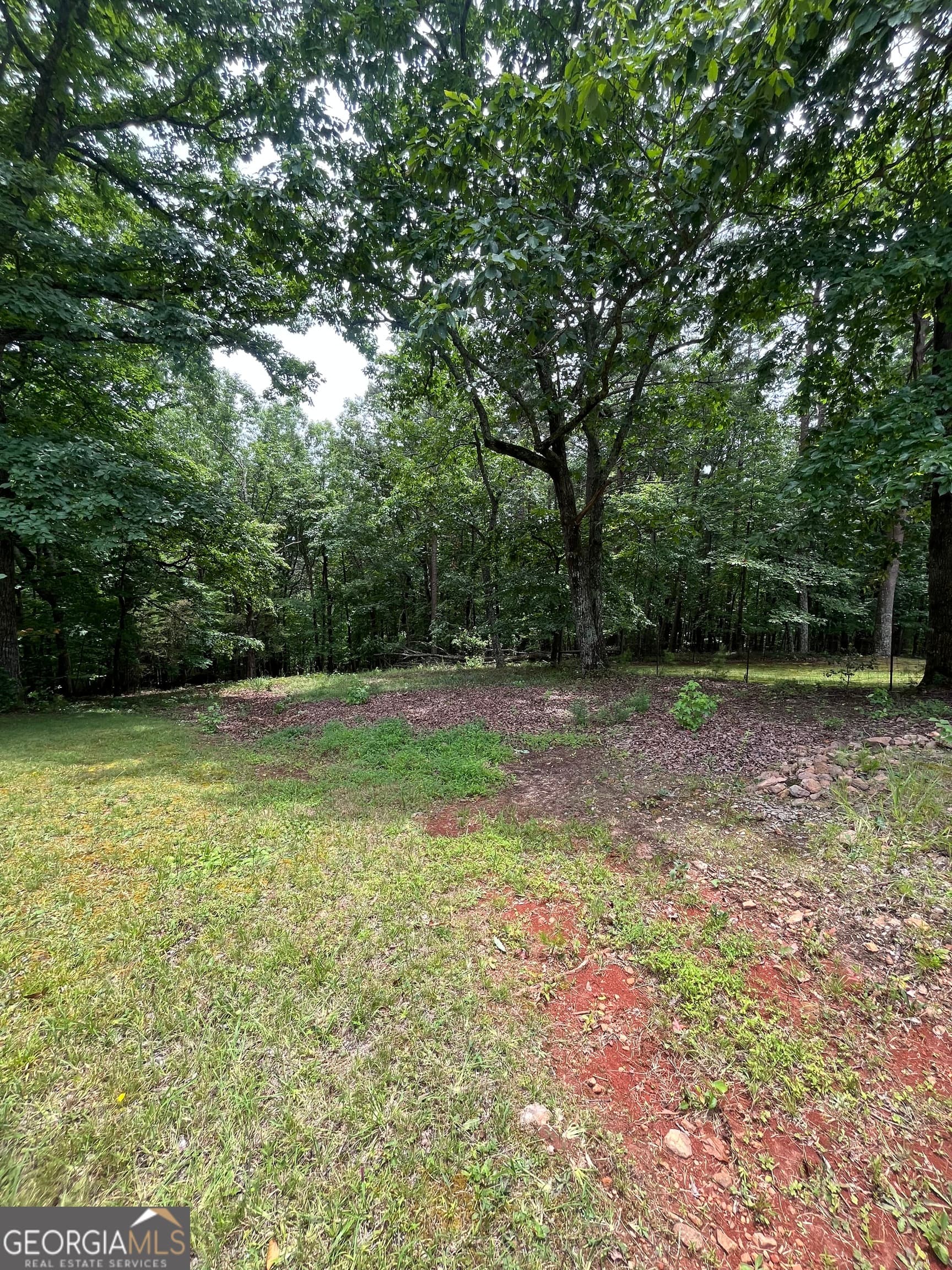residential lot for sale at 0 White Stone Drive, Cleveland, GA 30528 — photo 1 of 60
