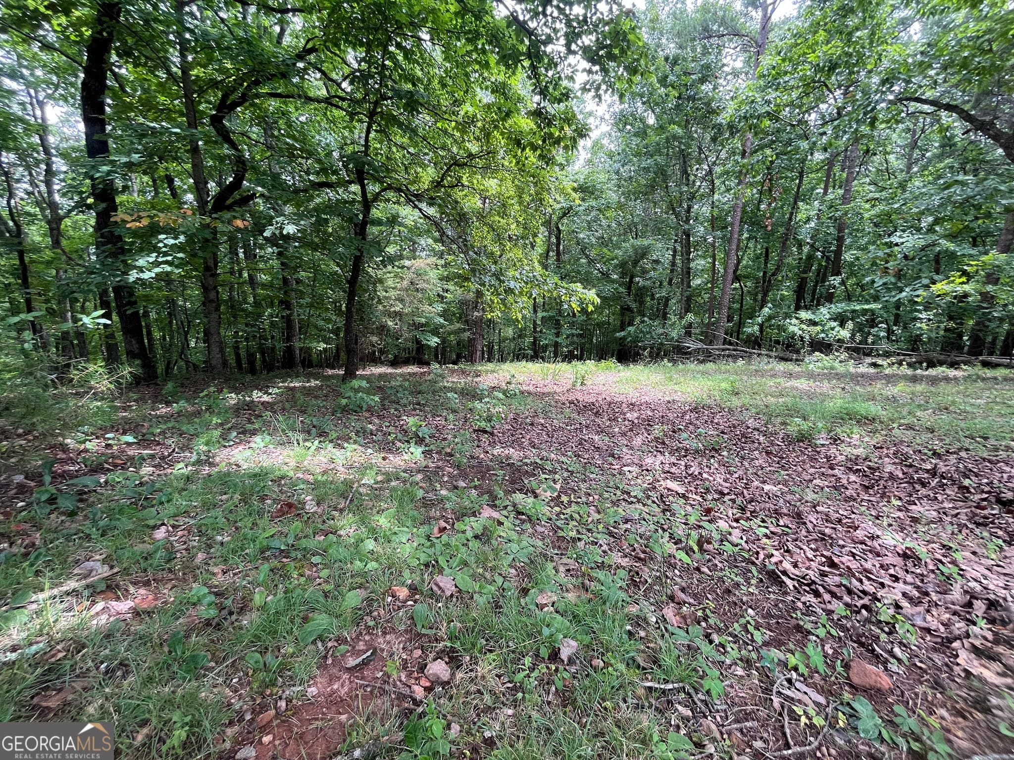 residential lot for sale at 0 White Stone Drive, Cleveland, GA 30528 — photo 5