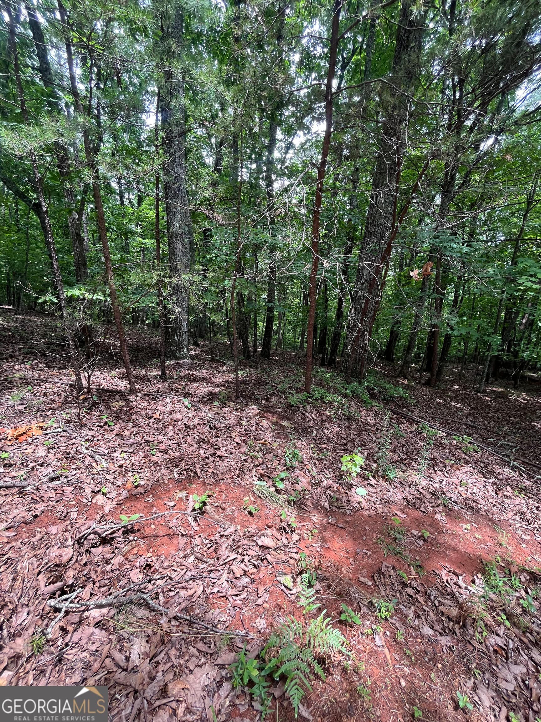 residential lot for sale at 0 White Stone Drive, Cleveland, GA 30528 — photo 9