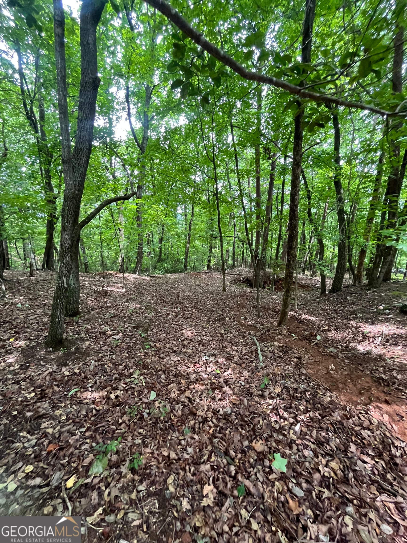 residential lot for sale at 0 White Stone Drive, Cleveland, GA 30528 — photo 10