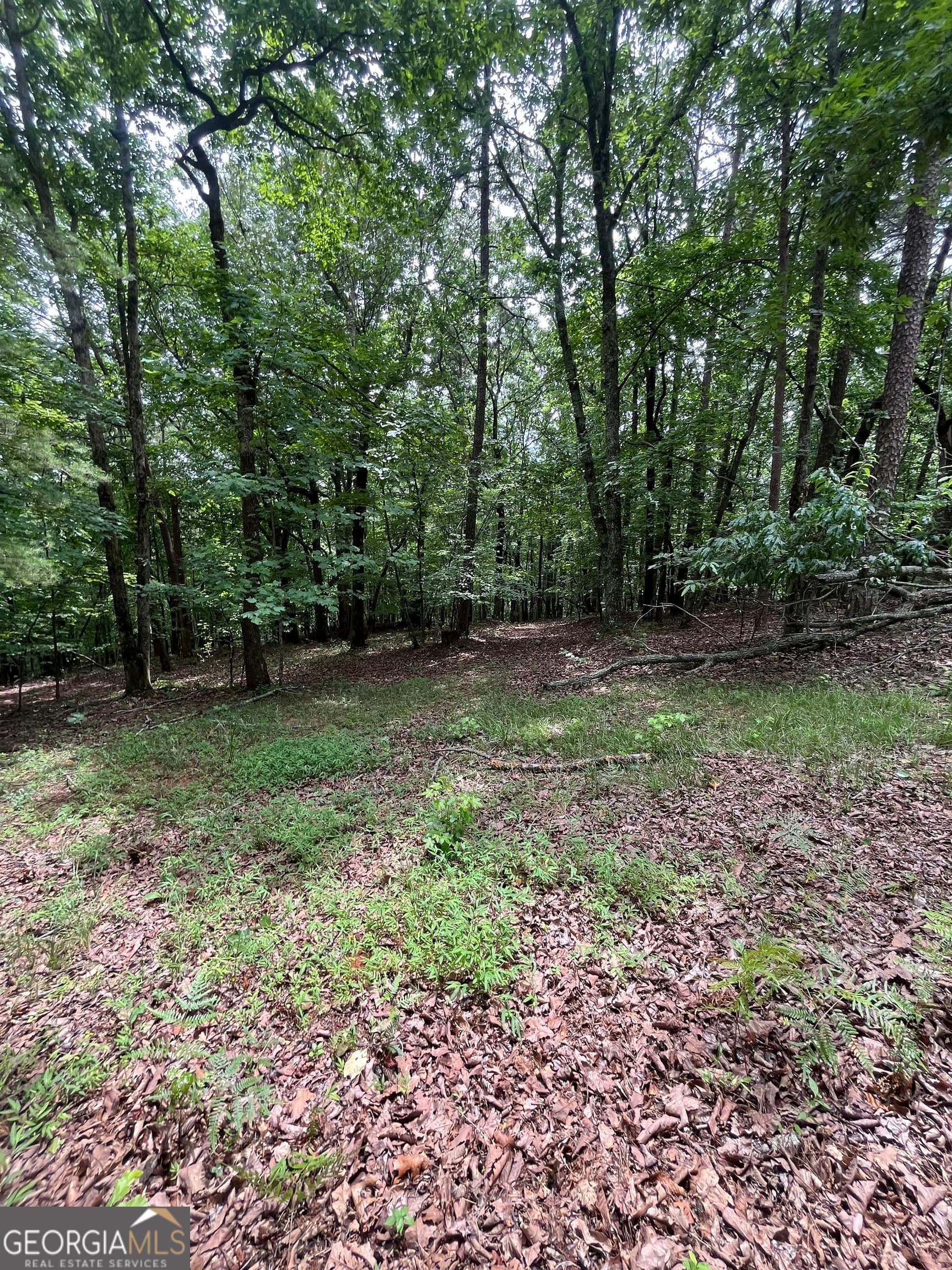 residential lot for sale at 0 White Stone Drive, Cleveland, GA 30528 — photo 8