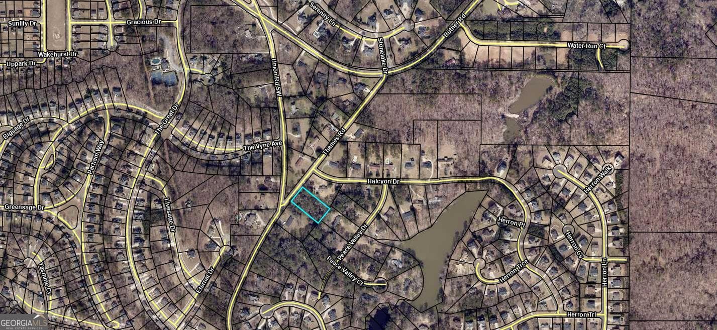 residential lot for sale at 0 Thames Road, South Fulton, GA 30349 — photo 2
