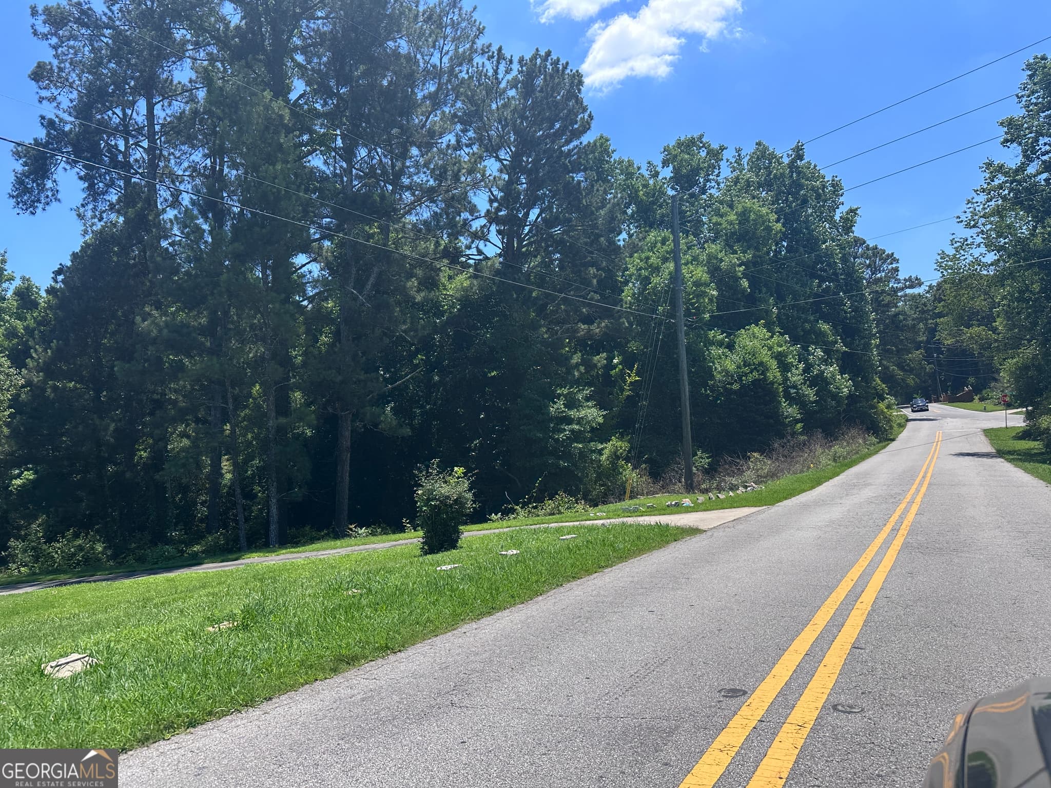 residential lot for sale at 0 Thames Road, South Fulton, GA 30349 — photo 3