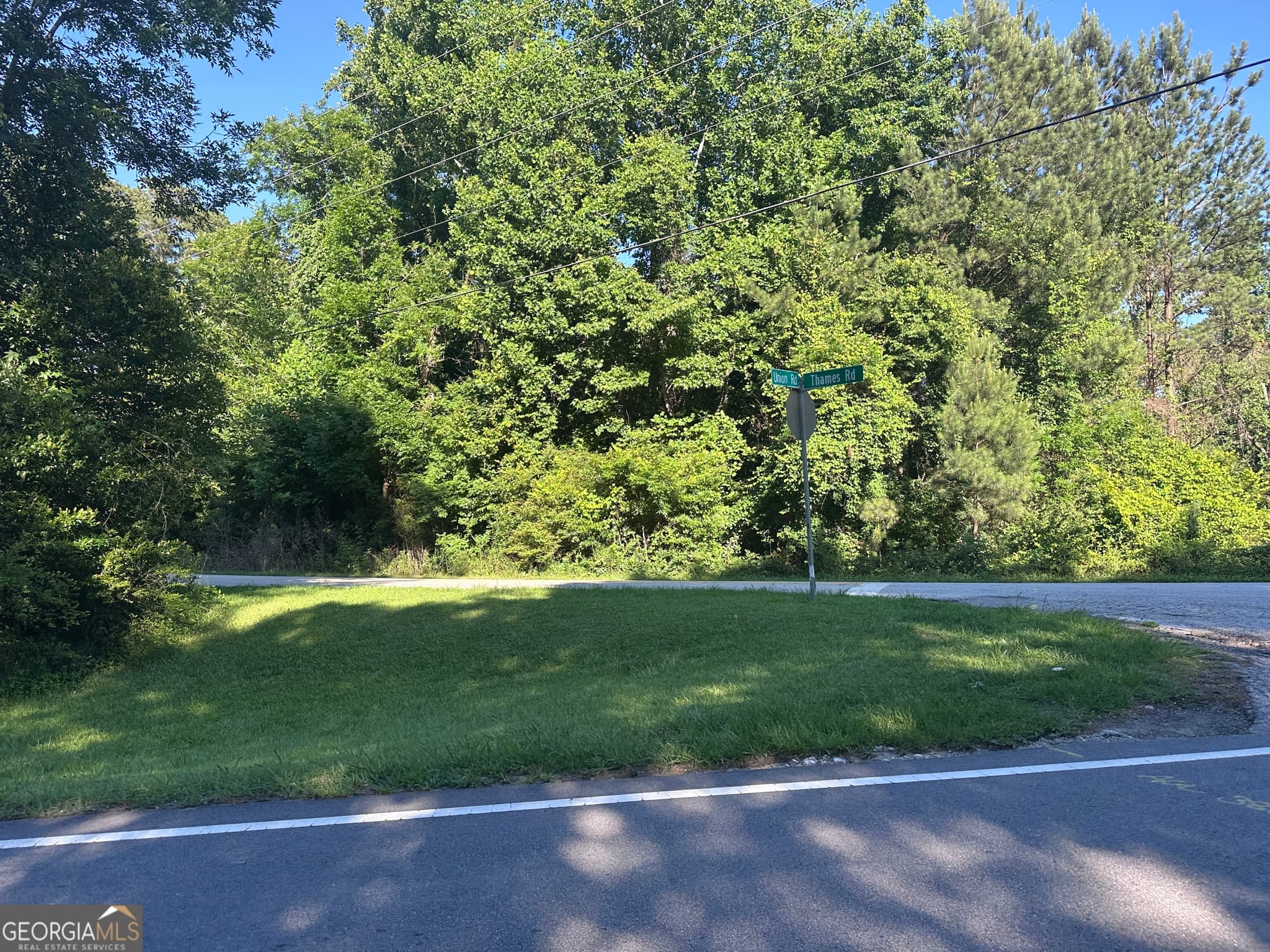 residential lot for sale at 0 Thames Road, South Fulton, GA 30349 — photo 5