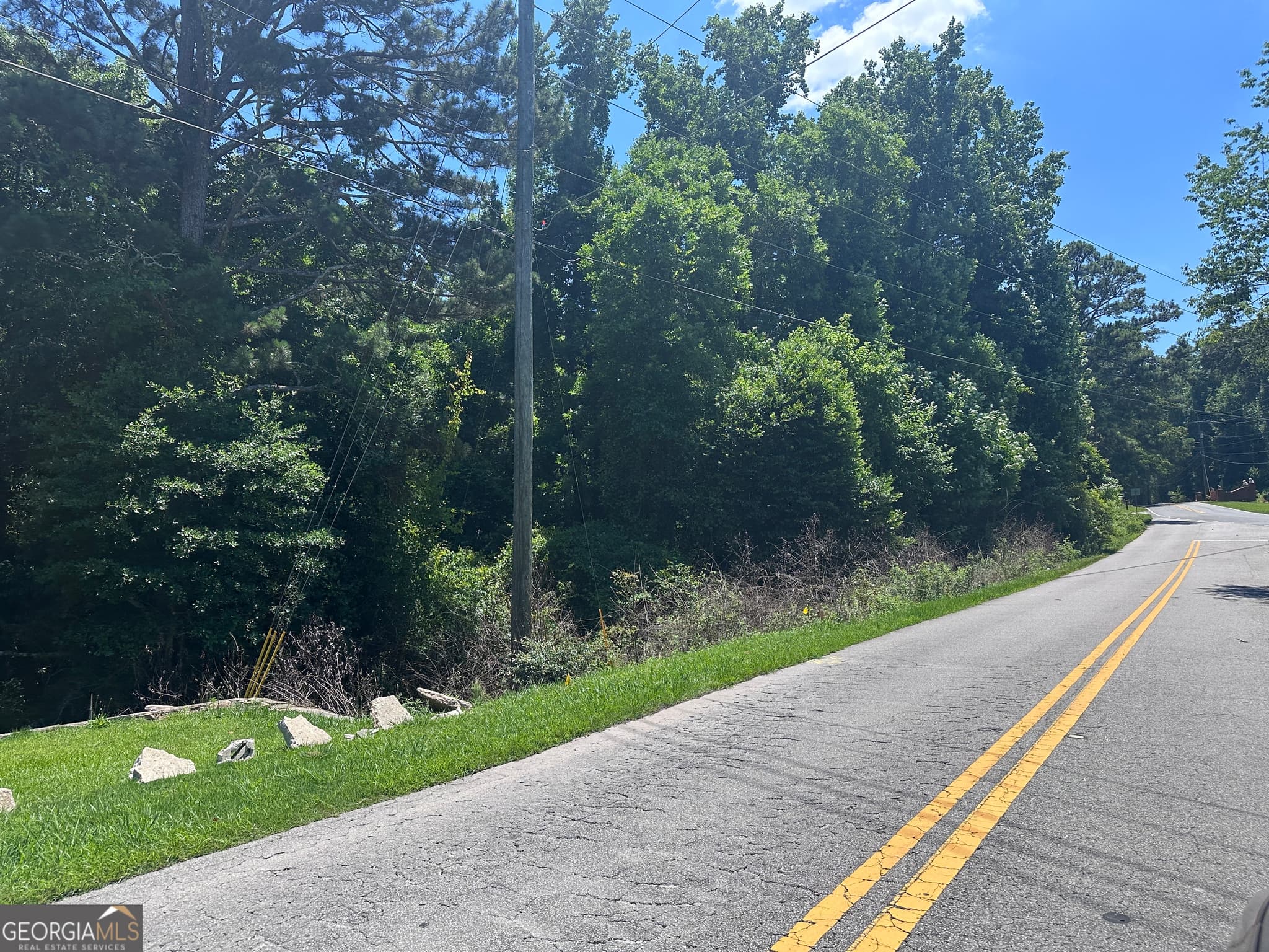 residential lot for sale at 0 Thames Road, South Fulton, GA 30349 — photo 4