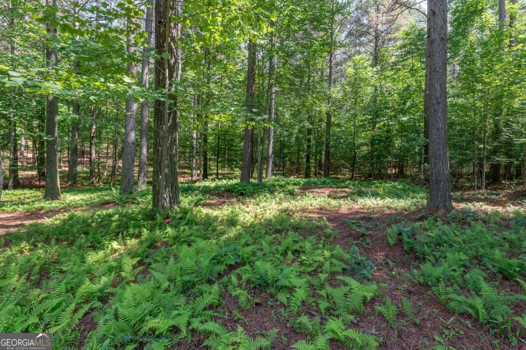 residential lot for sale at LOT 48 Thirteen Hundred, Blairsville, GA 30512 — photo 2