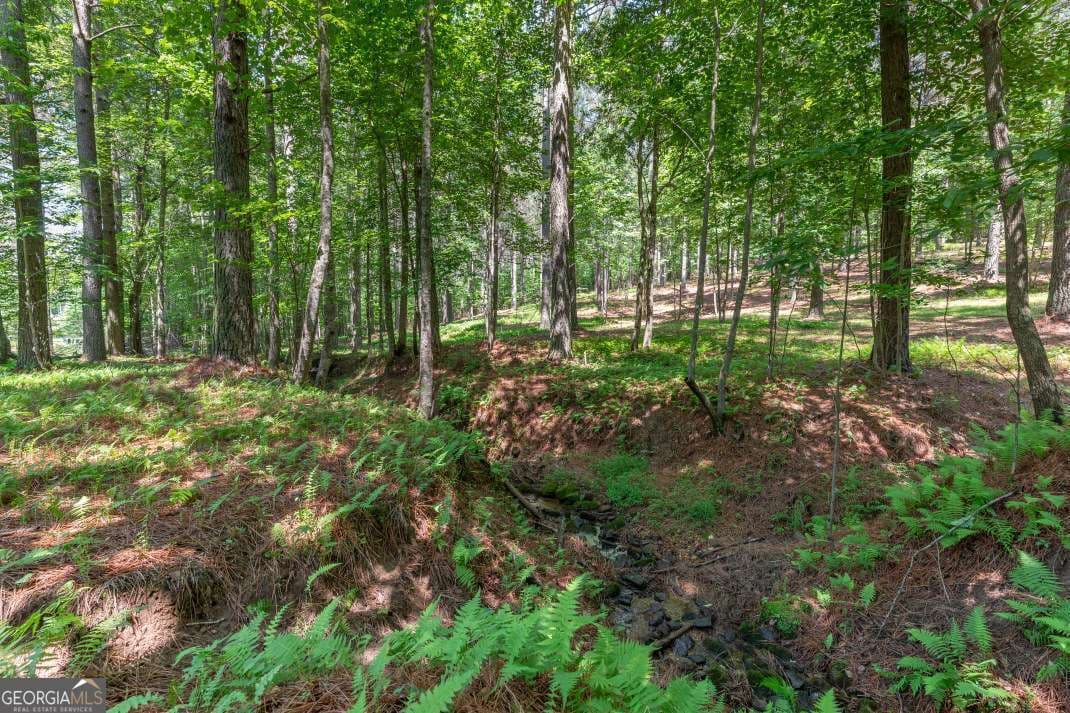 residential lot for sale at LOT 48 Thirteen Hundred, Blairsville, GA 30512 — photo 6
