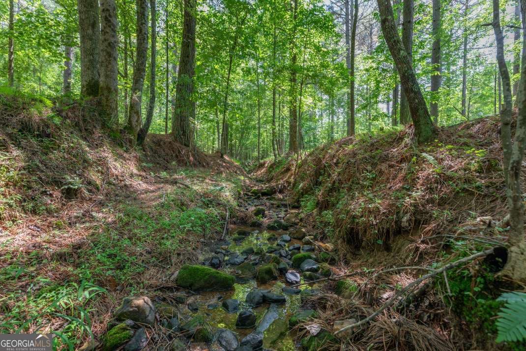 residential lot for sale at LOT 48 Thirteen Hundred, Blairsville, GA 30512 — photo 7