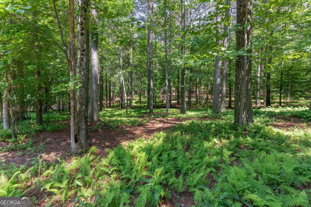 residential lot for sale at LOT 48 Thirteen Hundred, Blairsville, GA 30512 — photo 3