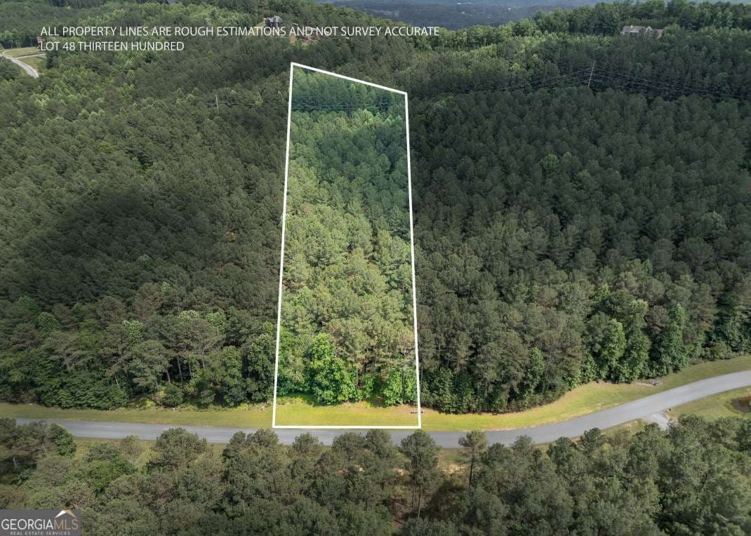 residential lot for sale at LOT 48 Thirteen Hundred, Blairsville, GA 30512 — photo 1 of 34