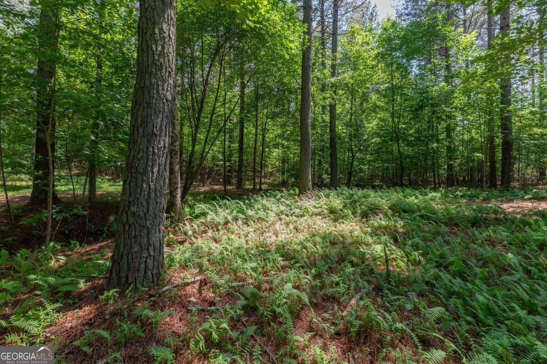 residential lot for sale at LOT 48 Thirteen Hundred, Blairsville, GA 30512 — photo 5