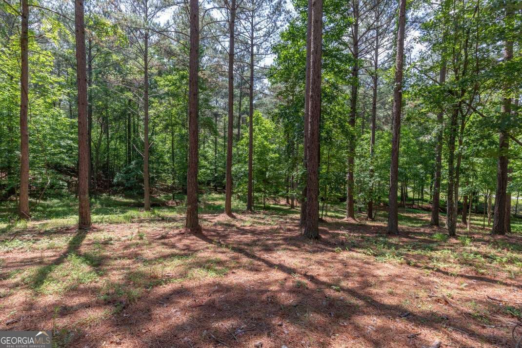 residential lot for sale at LOT 48 Thirteen Hundred, Blairsville, GA 30512 — photo 9
