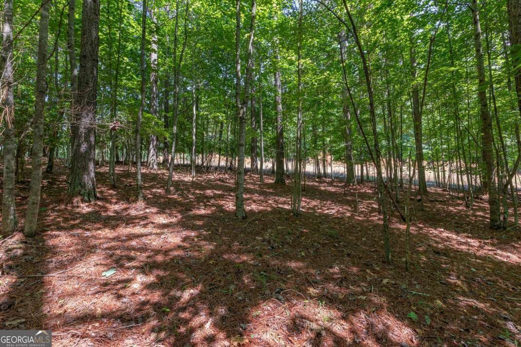 residential lot for sale at LOT 48 Thirteen Hundred, Blairsville, GA 30512 — photo 10