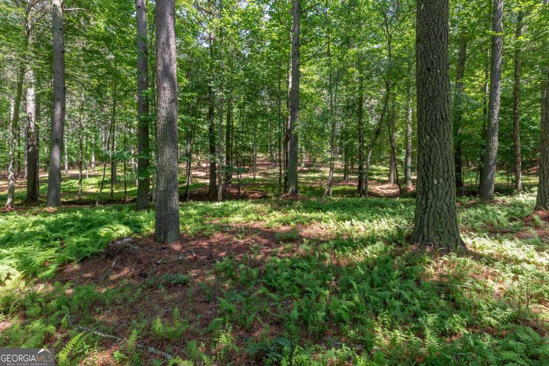 residential lot for sale at LOT 48 Thirteen Hundred, Blairsville, GA 30512 — photo 4